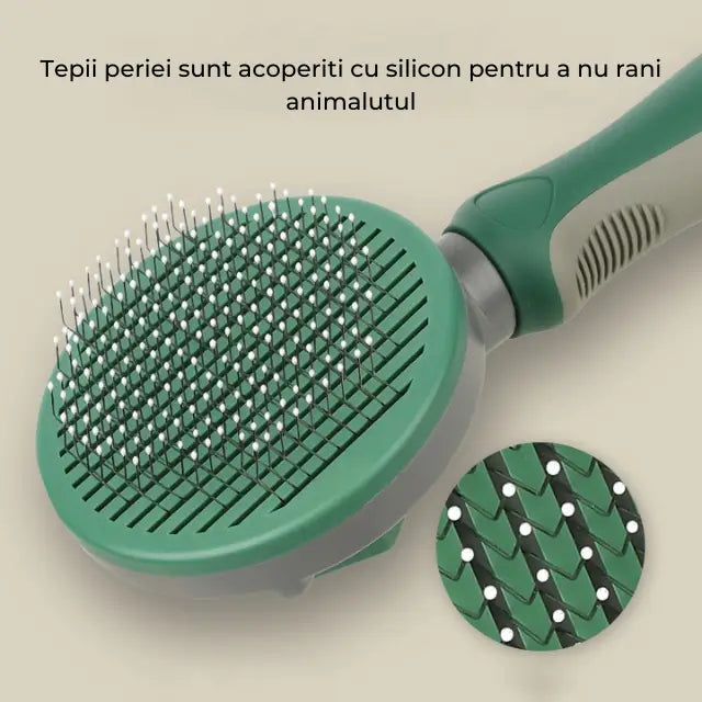 Perie Pisici si Caini