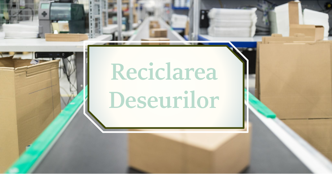 Reciclarea Deseurilor: Ghid Pas cu Pas Pentru Un Mediu Mai Curat