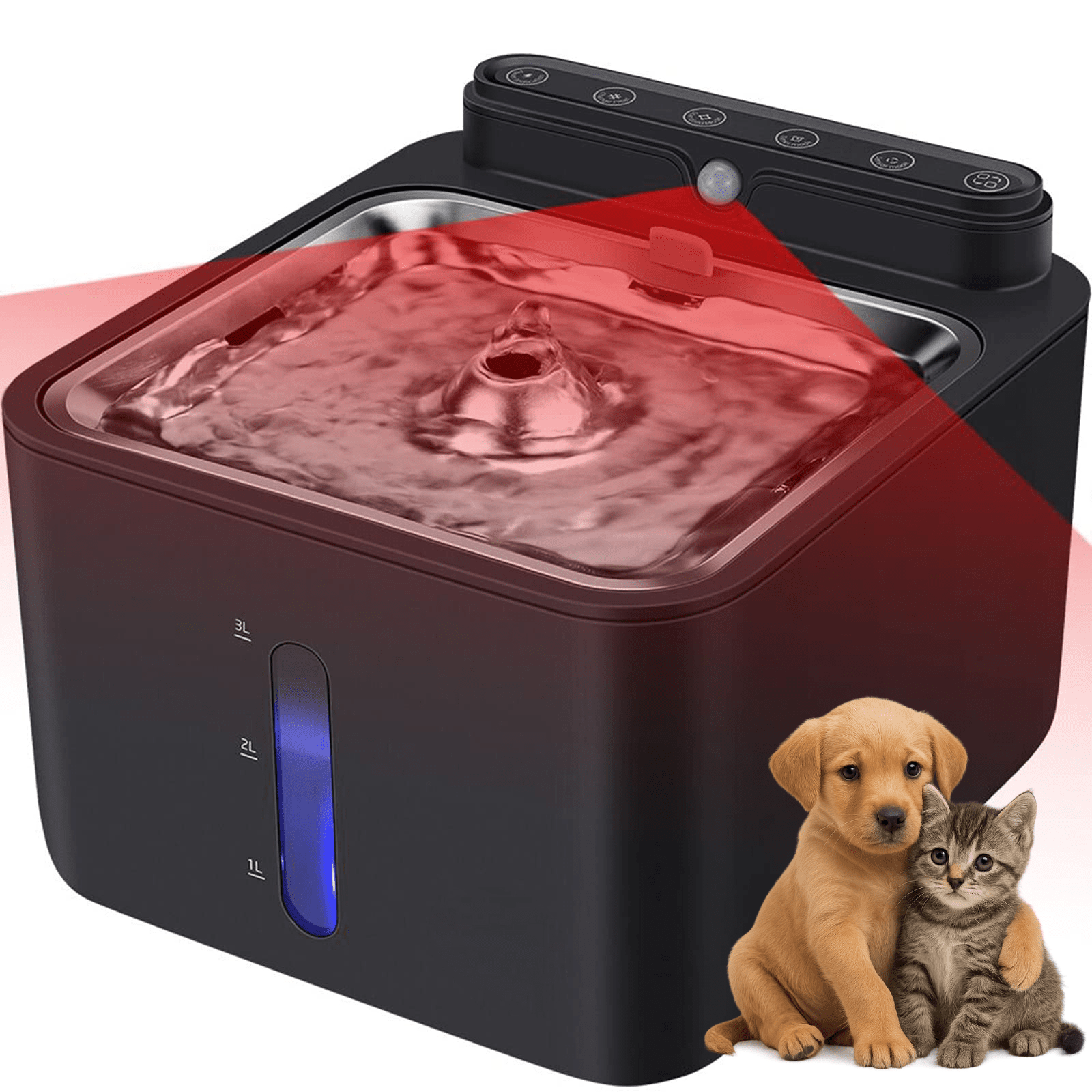 fantana caini si pisici