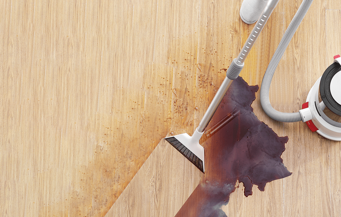 Wet and Dry Vacuum Cleaner 18,000Pa, 800W