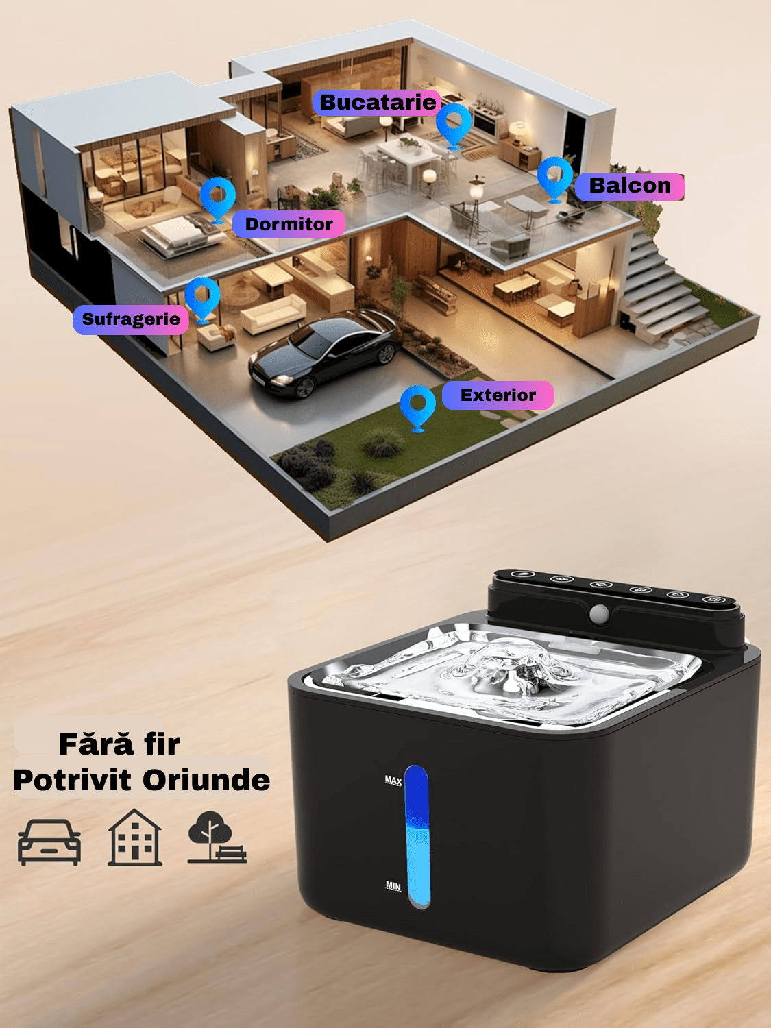 Fantana caini si pisici