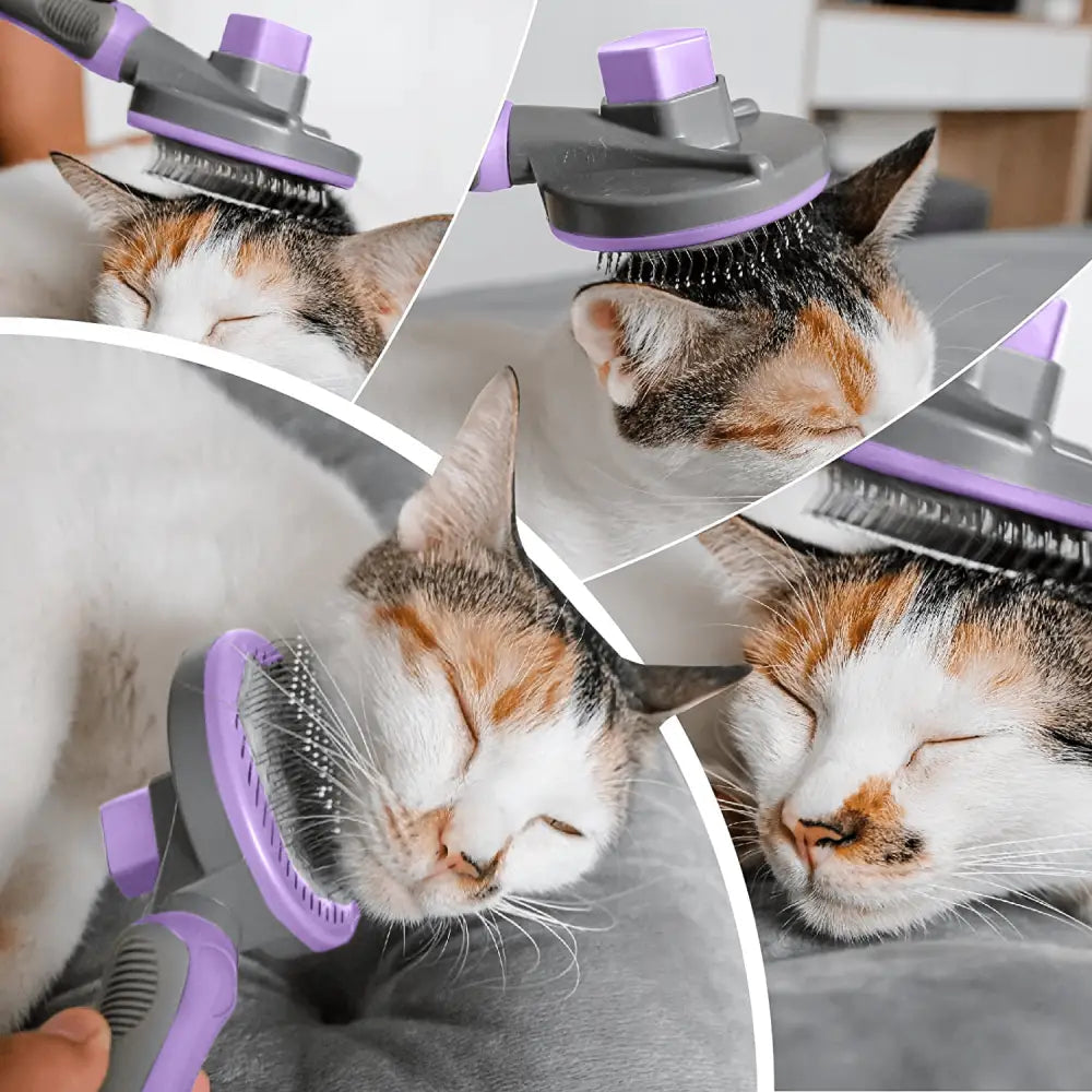 Perie pentru caini si pisici